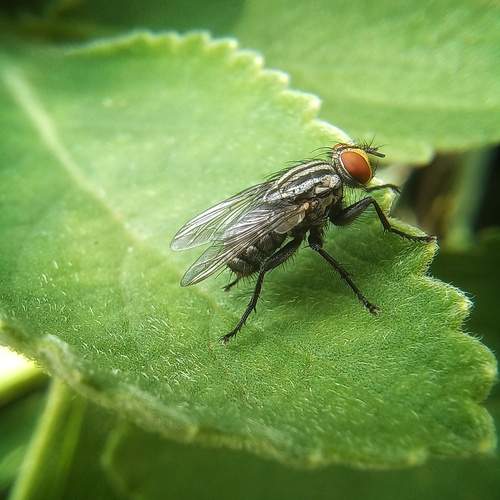 Photo #12082280