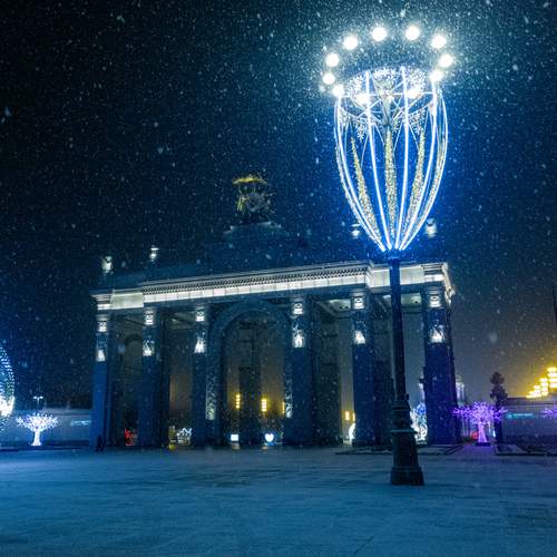 Photo #12082500