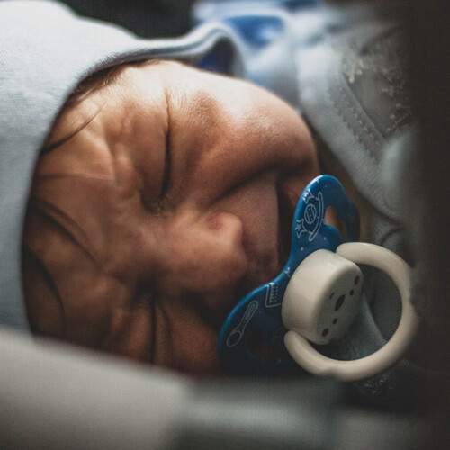 Photo #12082503