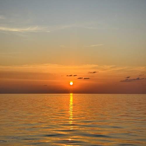 Photo #12082766