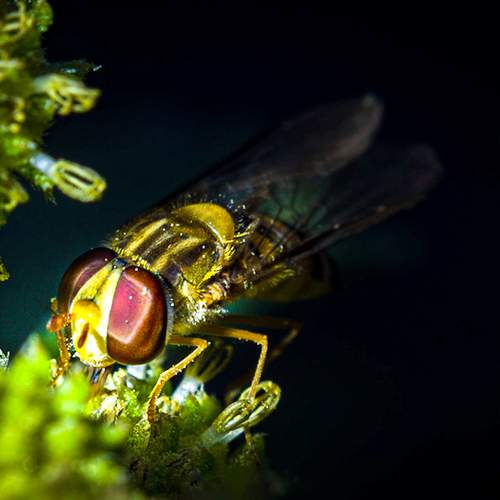 Photo #12082875