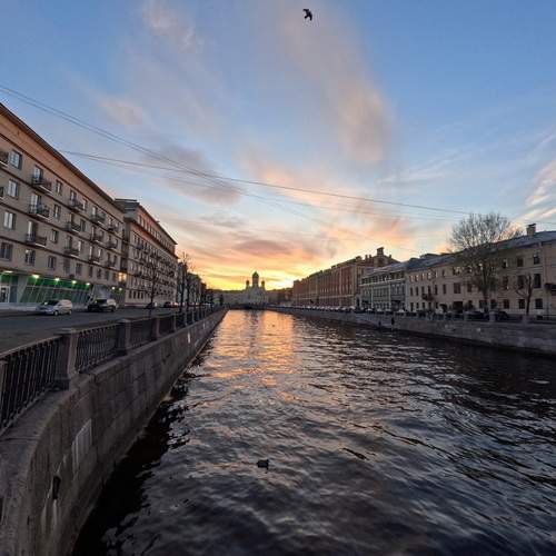 Photo #12082948