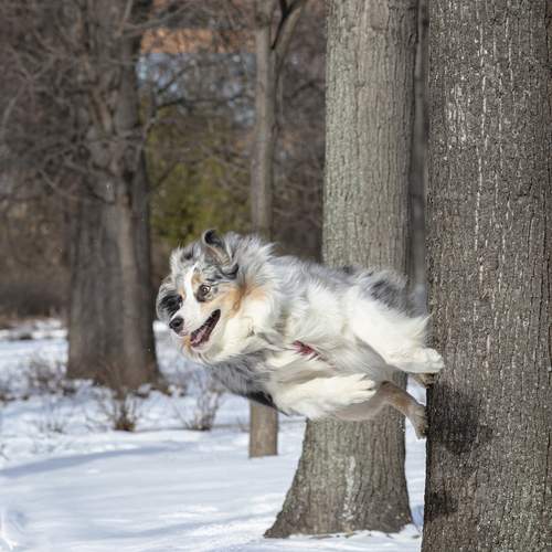 Photo #12082950