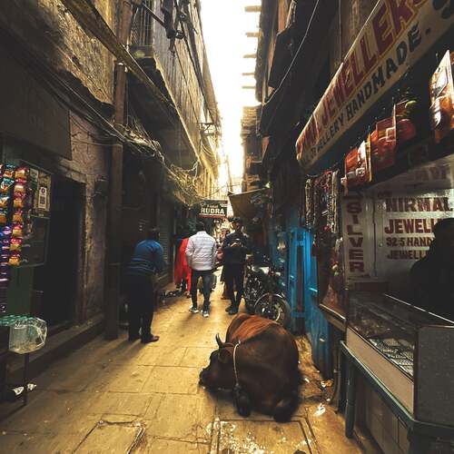 Photo #12083415
