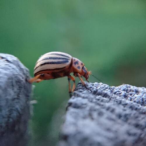 Photo #12083449