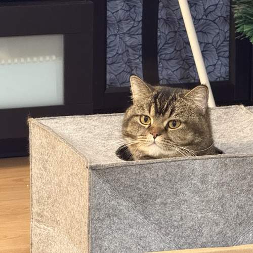 Photo #12083527