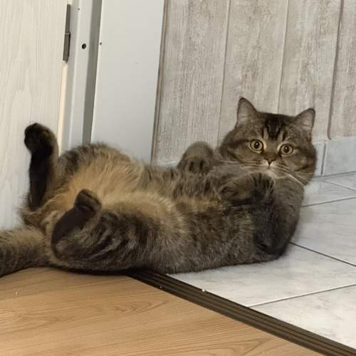 Photo #12083529