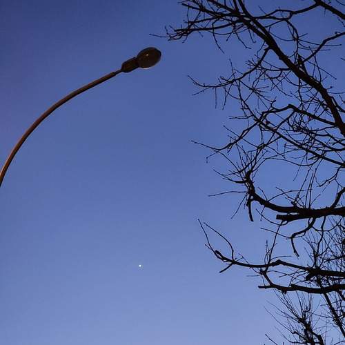 Photo #12083609