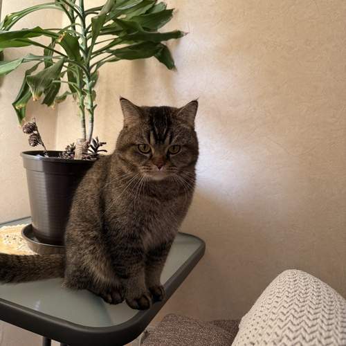 Photo #12083763