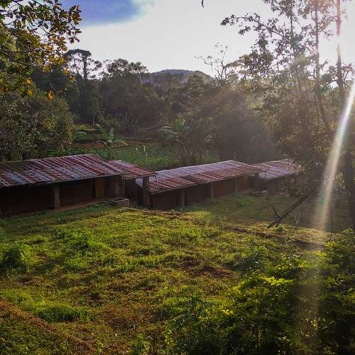 Photo #12083769