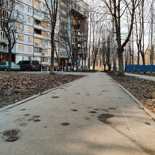 Photo #12083979
