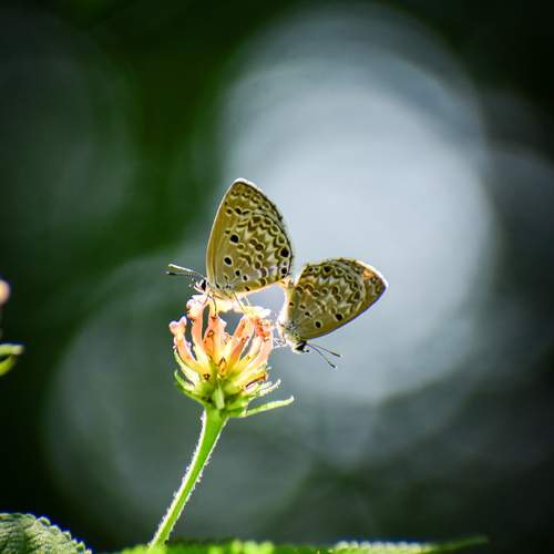 Photo #12084091