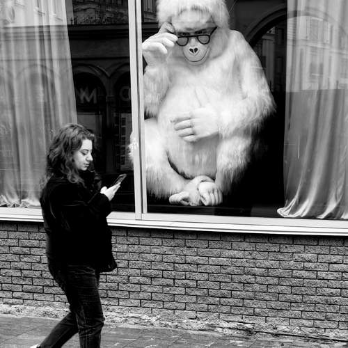 Photo #12084652