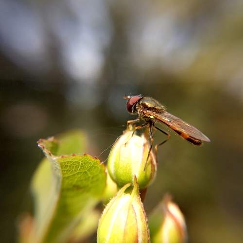 Photo #12085028