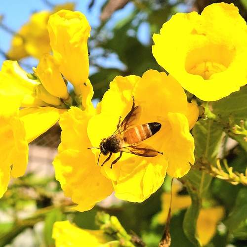 Фотография #12085265