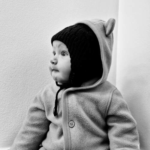 Photo #12085326