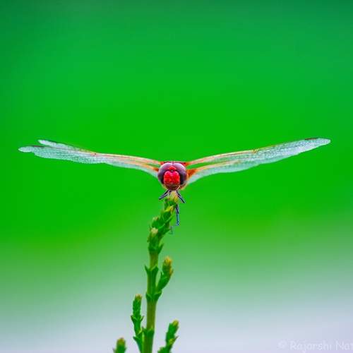 Ready For Takeoff