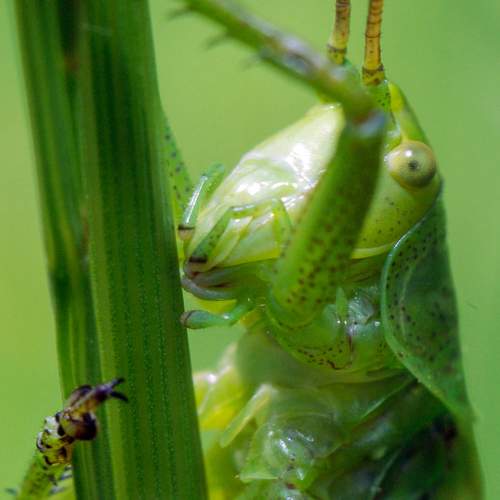Photo #12085854
