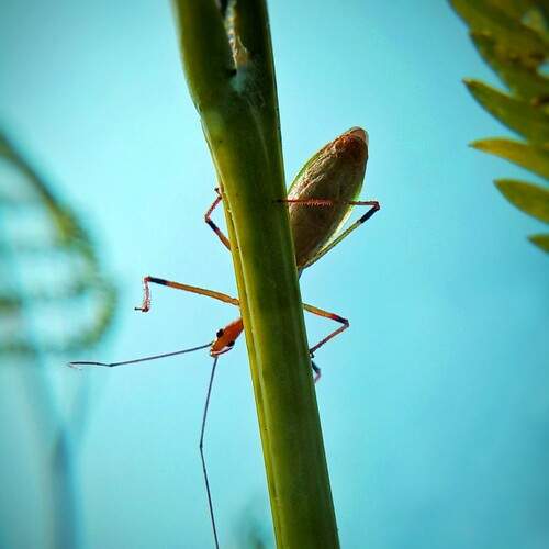 Photo #12086791