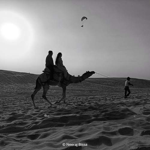 Photo #12087223