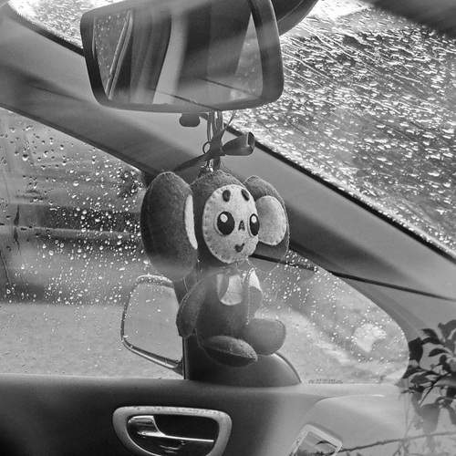 Photo #12087501