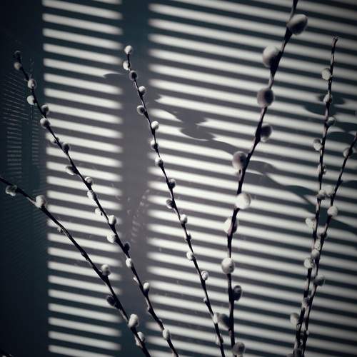 Photo #12087604