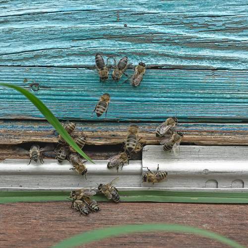 Photo #12087754