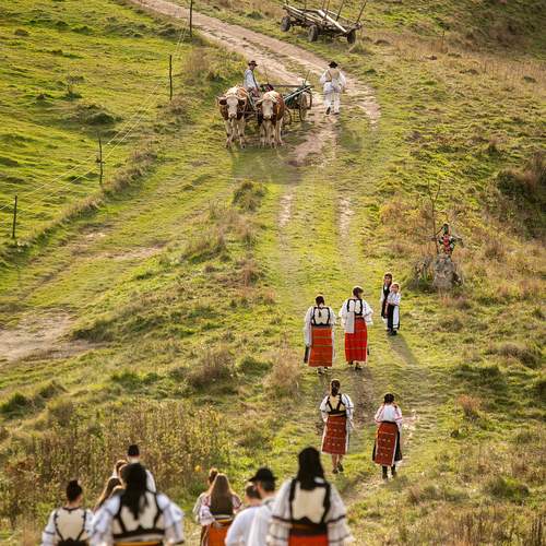 Photo #12087920