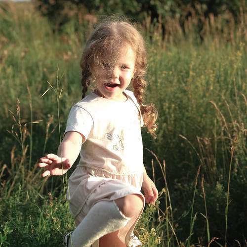Photo #12088146