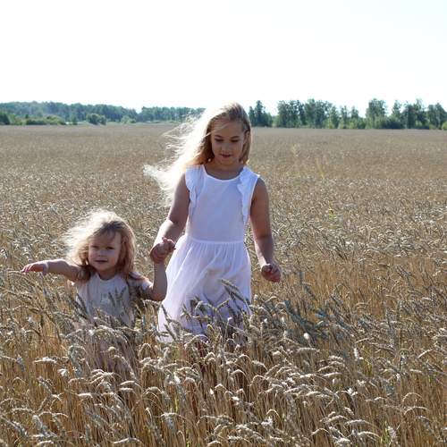 Photo #12088147