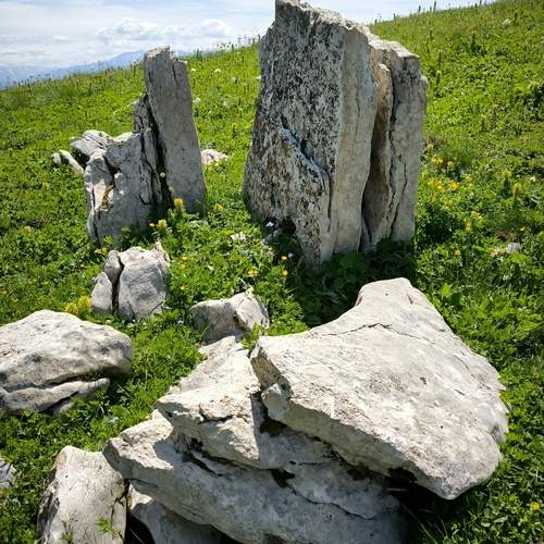 Photo #12088166