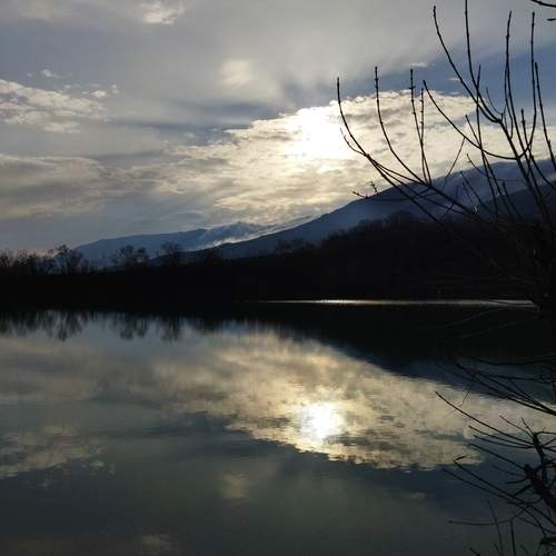 Photo #12088483