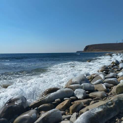Photo #12089022