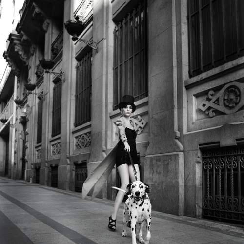 Photo #12089312