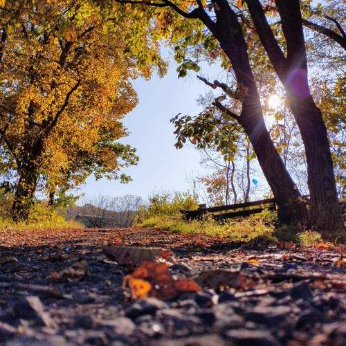 Photo #12089389