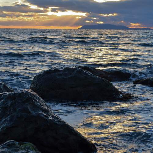 Photo #12089421