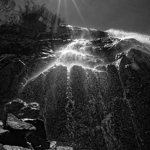 Photo #12089869