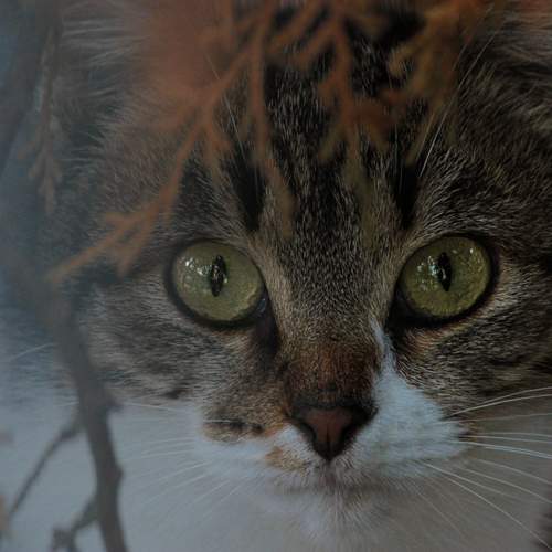 Photo #12089907