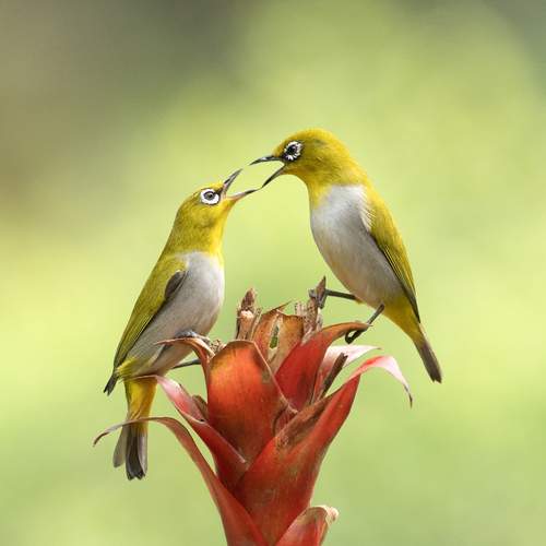 Photo #12090424