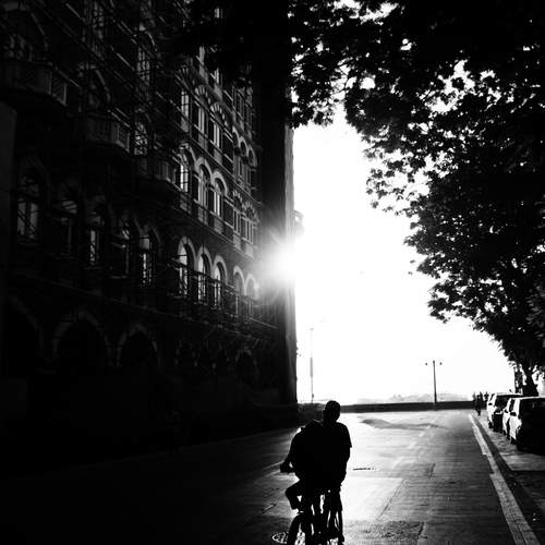 Photo #12090724