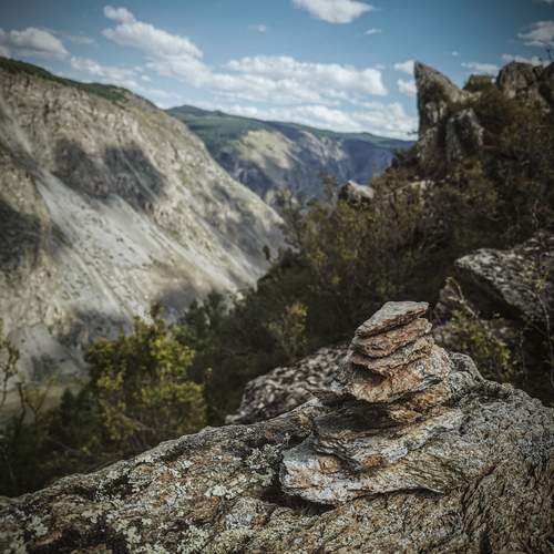 Photo #12091401