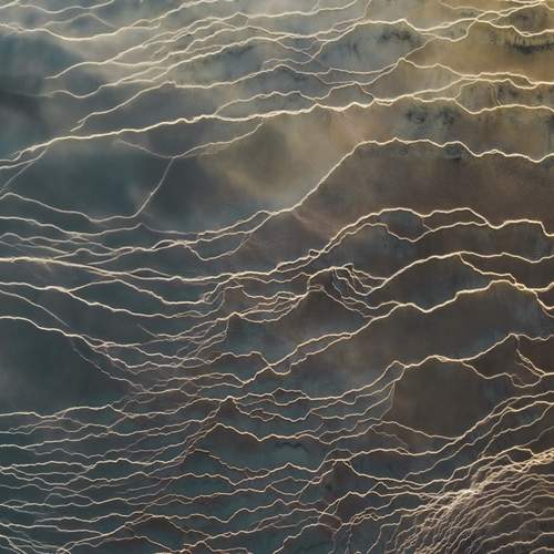 Photo #12092001