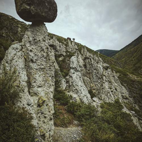 Photo #12092034