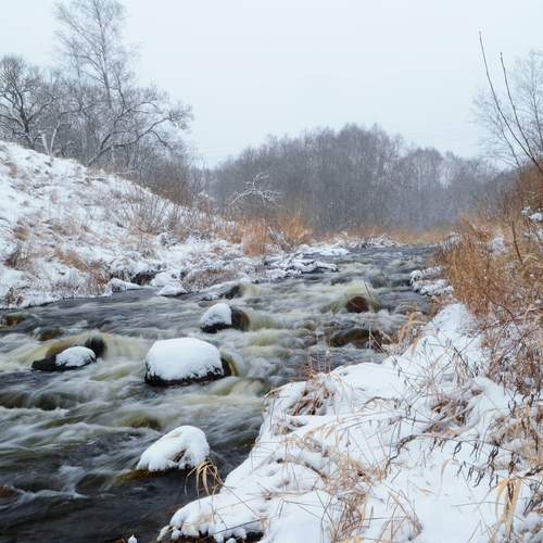 Photo #12092224