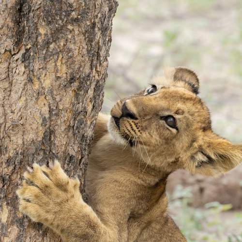 Фотография #12092232