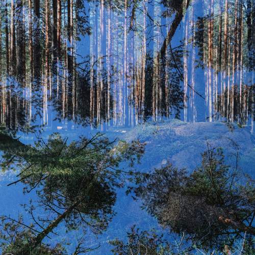 Photo #12092726