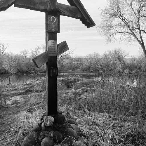Photo #12092789