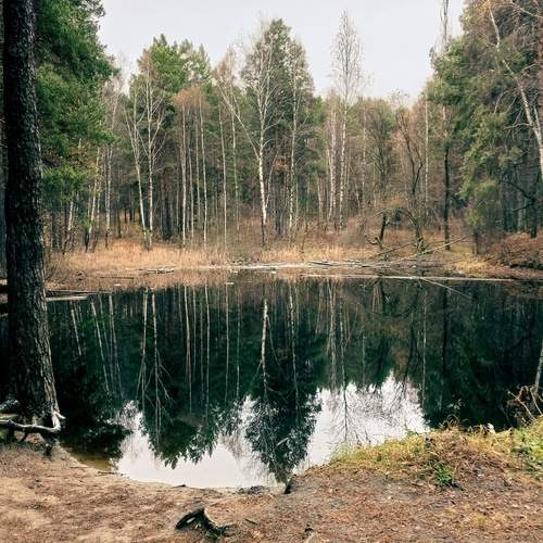 Photo #12092899