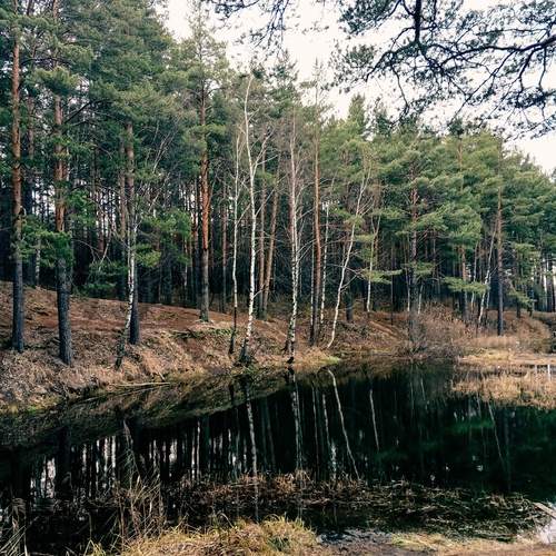 Photo #12092900