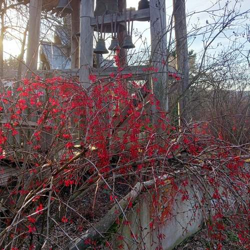Photo #12093010
